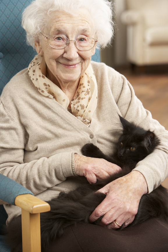senior woman holding her pet cat