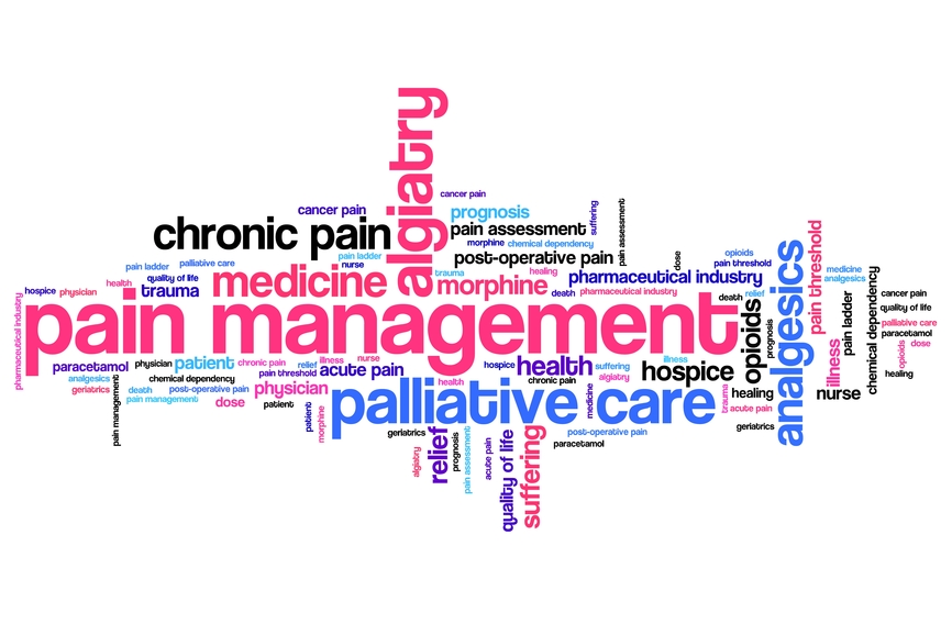 word cloud of palliative care terms