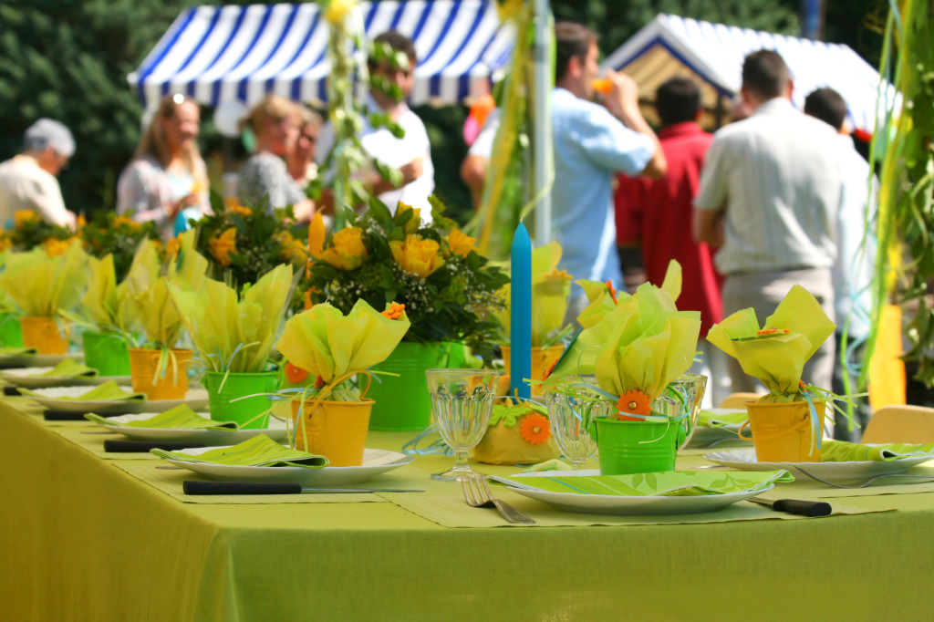 photo of guests enjoing a backyard party