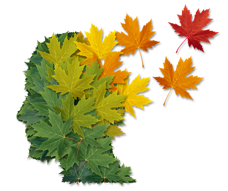 Mental illness and Alzheimer's disease as a health care and medical symbol with a human head made of green leaves turning to falling autumn foliage lost in to the wind.