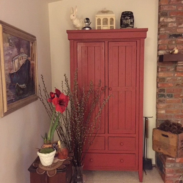 Vimtag camera atop red antique cabinet