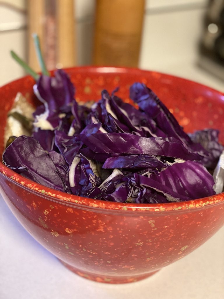 rachel Ray red compost bowl