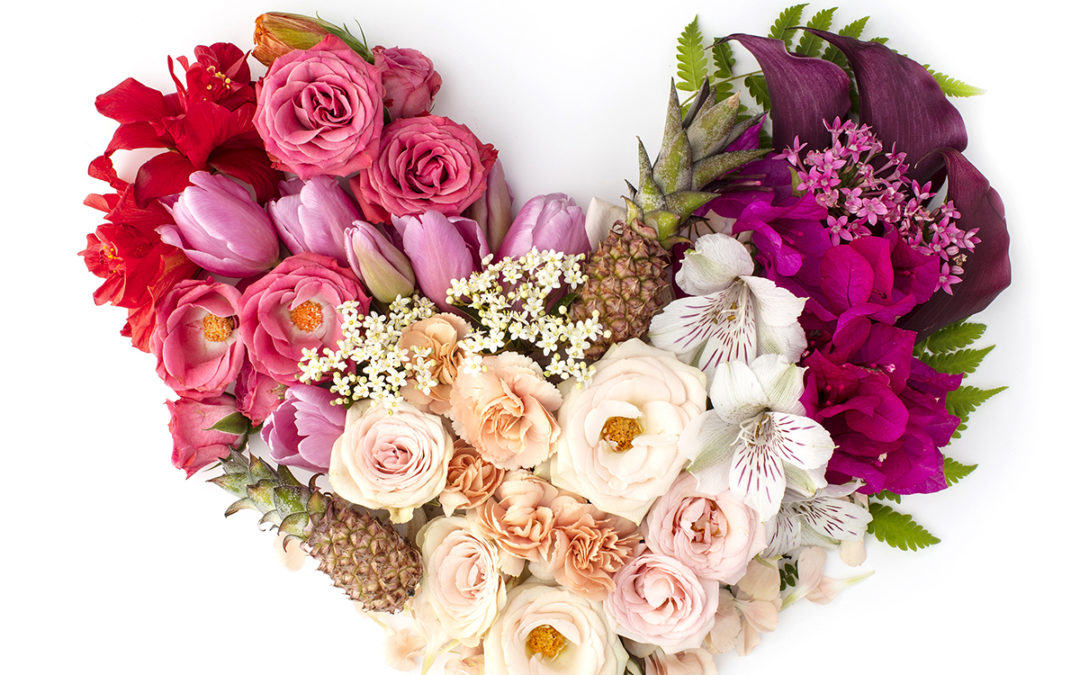 flowers arranged in a flat lay on white in the shape of a heart