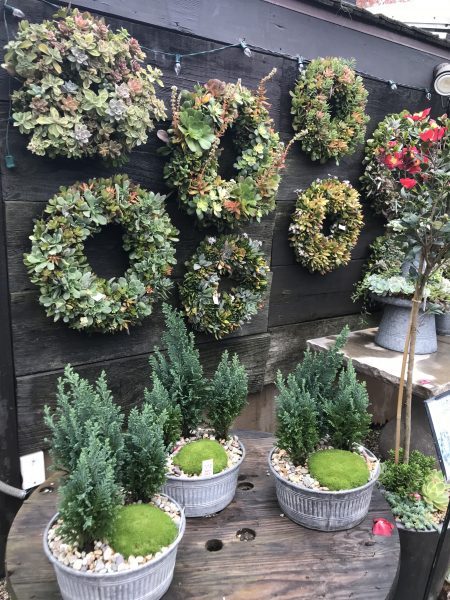 wreaths made from succulents