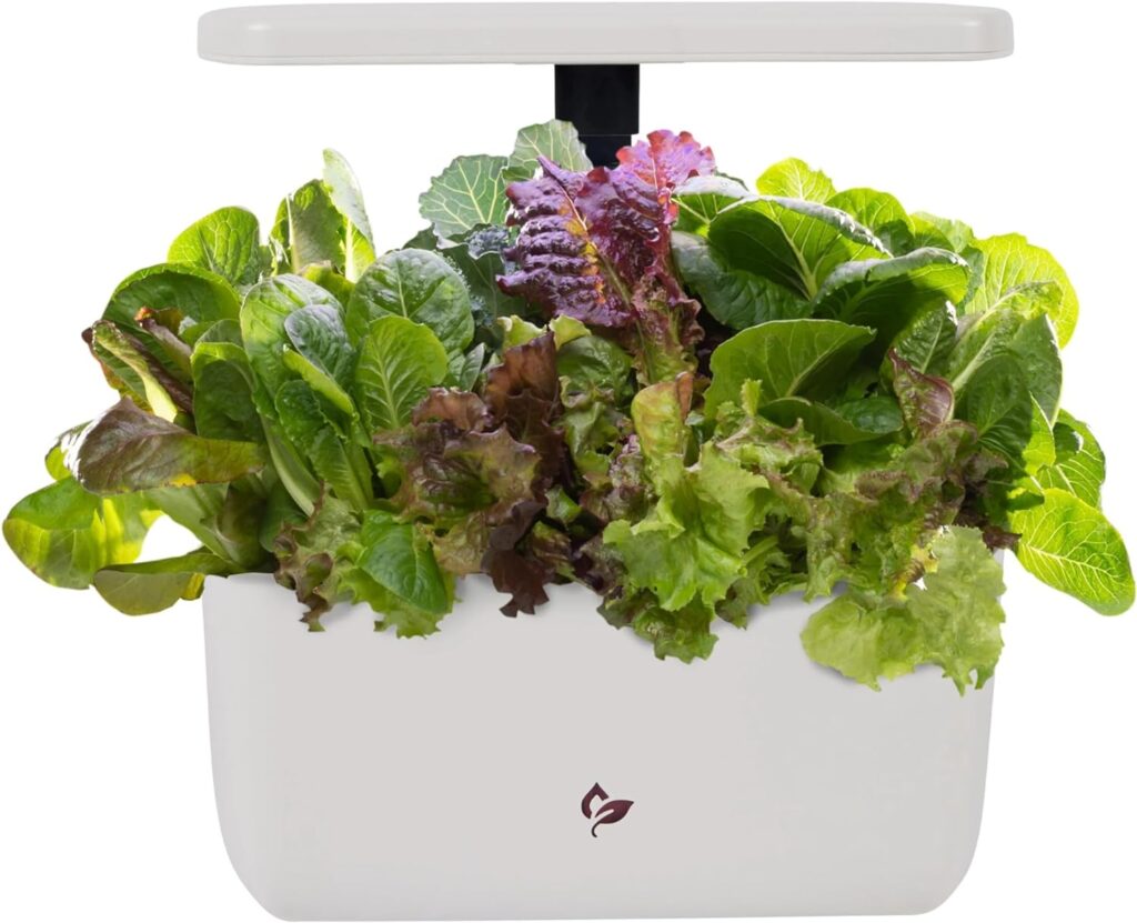 A white AeroGarden system with lettuces 