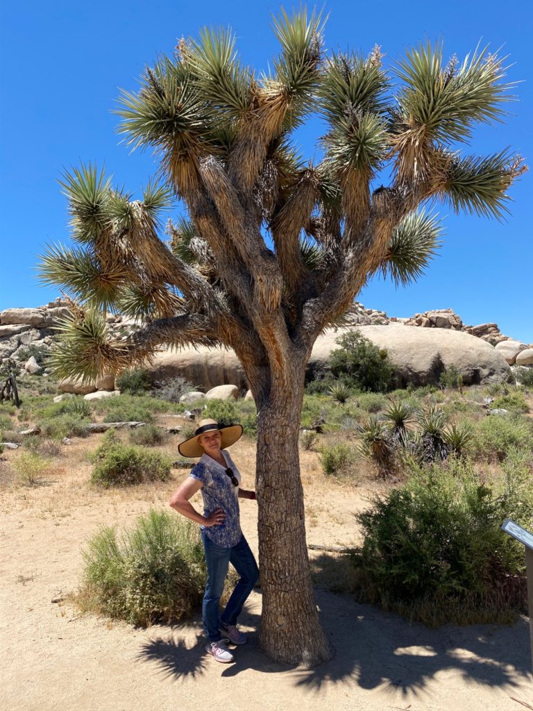 Shelley standing beside a Joshua Tree