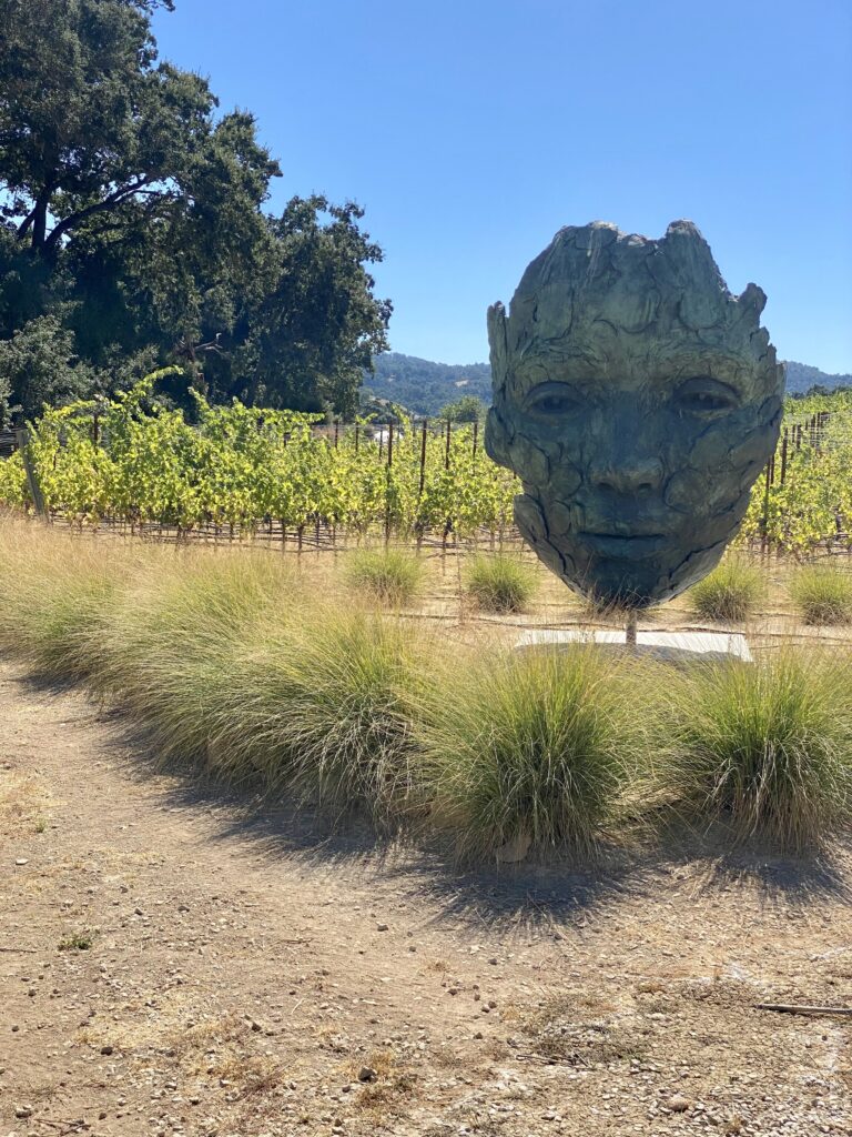 bronze sculpture of a face, in front of a vineyard